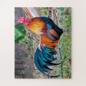 Puzzle Foie rousse (Vertical)