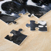 Puzzle Folie de chats de Tuxedo (Côté)