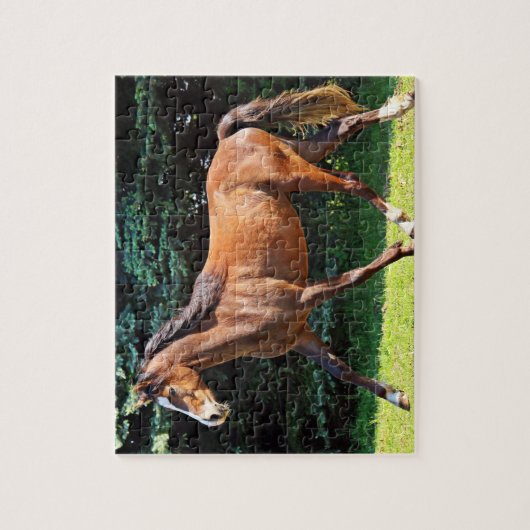 Puzzle Fonctionnement Brown de cheval (Vertical)