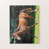 Puzzle Fonctionnement Brown de cheval (Vertical)