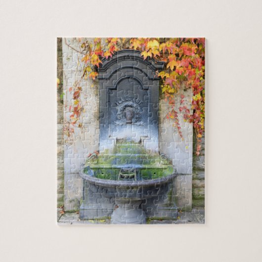 Puzzle Fontaine d'eau potable en automne, Hongrie (Vertical)