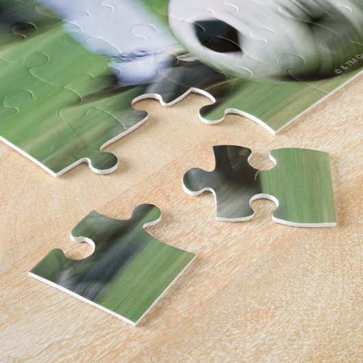 Puzzle Football (Côté)