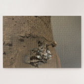 Puzzle Forage Mars Curiosity Red Martian Paysage (Horizontal)