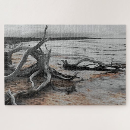 Puzzle Forces naturelles du lac Tyrrell (Horizontal)