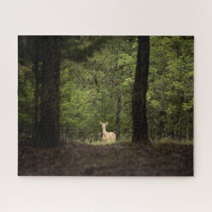 Puzzle Forest A White Tailed Deer in the Woods