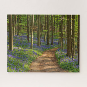 Puzzle Forest   Bluebell Forest en Belgique