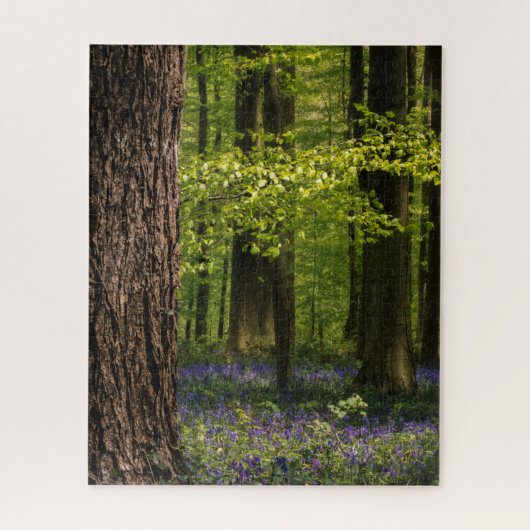 Puzzle Forest | Bluebells en Belgique (Vertical)