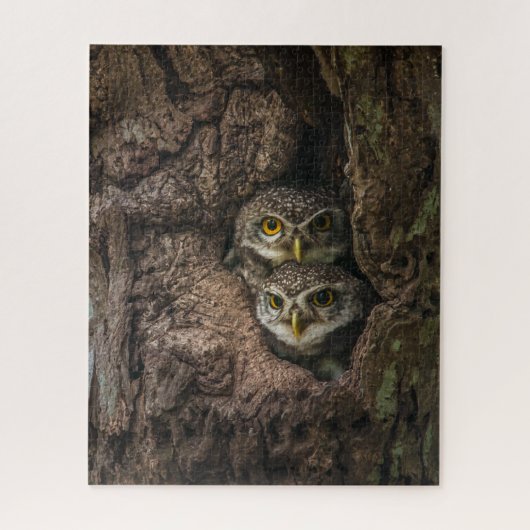 Puzzle Forest | Deux Owls Looking (Vertical)