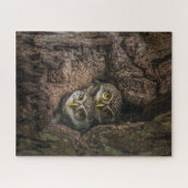 Puzzle Forest | Deux Owls Looking (Horizontal)