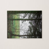 Puzzle Forest overlooking clearing in the fog (Horizontal)
