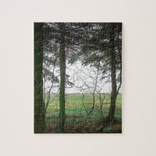 Puzzle Forest overlooking clearing in the fog