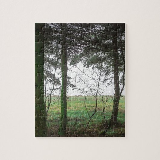 Puzzle Forest overlooking clearing in the fog (Vertical)