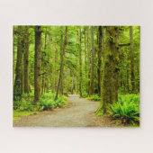 Puzzle Forest | Parc national olympic (Horizontal)