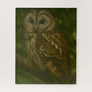 Puzzle Forest Sentinel - Tawny Owl Wildlife Art