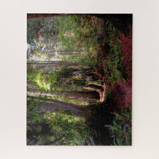 Puzzle Forest | Séquwood Forest California (Vertical)
