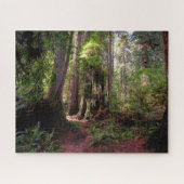 Puzzle Forest | Séquwood Forest California (Horizontal)