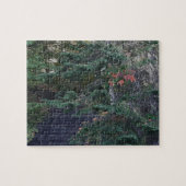 Puzzle Forest Steps in Early Autumn (Horizontal)