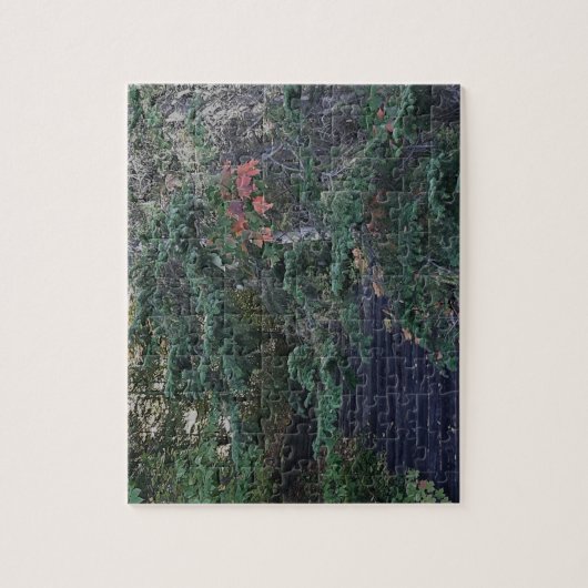 Puzzle Forest Steps in Early Autumn (Vertical)