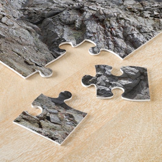 Puzzle Forester Pass - John Muir Trail - Sierra Nevada (Côté)