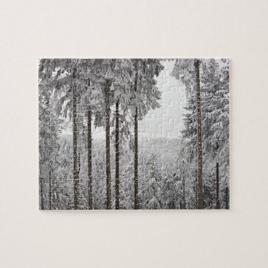 Puzzle Forêt à feuillage persistant en hiver (Horizontal)