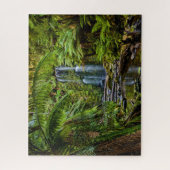 Puzzle Forêt | Beauchamp Falls Australie (Vertical)
