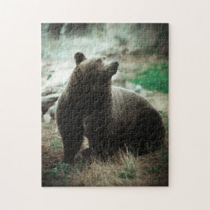 Puzzle Forêt Brown sauvage d'ours grizzli Vue sur le pay