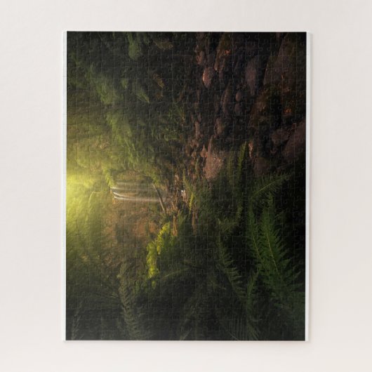 Puzzle Forêt | Cascade Sunlight Highlights (Vertical)