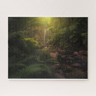 Puzzle Forêt   Cascade Sunlight Highlights