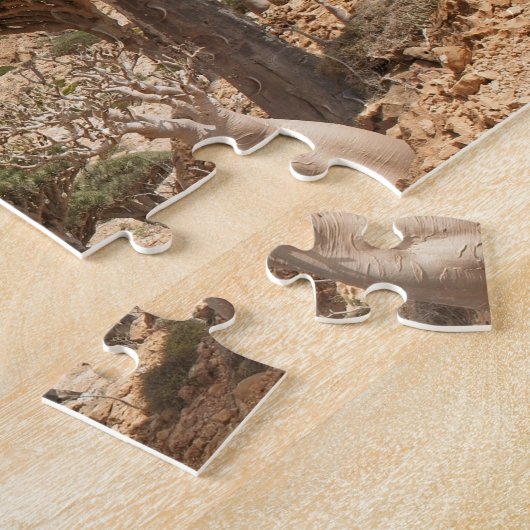 Puzzle Forêt d'arbre de sang de dragon, île d'île de (Côté)