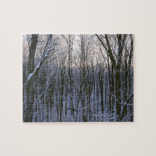 Puzzle Forêt d'arbres enneigés (Horizontal)
