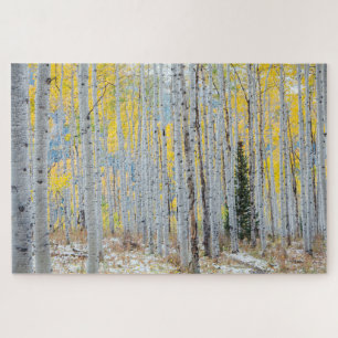 Puzzle Forêt D'Aspen À L'Automne