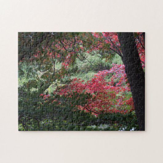 Puzzle Forêt d'automne (Horizontal)
