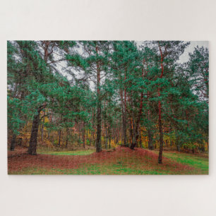 Puzzle Forêt d'automne