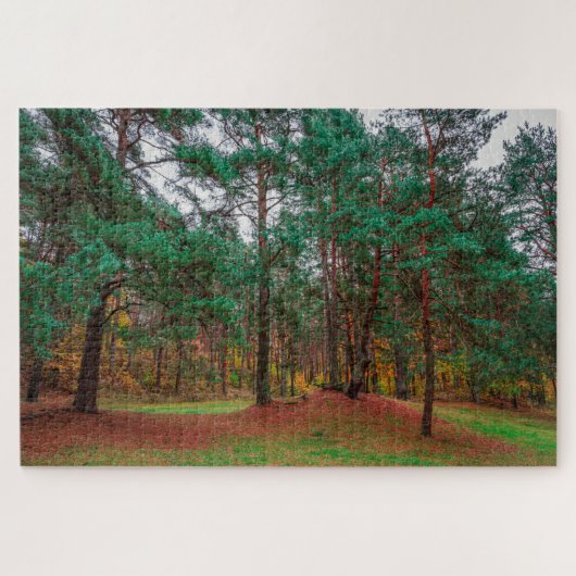 Puzzle Forêt d'automne (Horizontal)