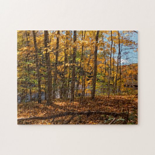 Puzzle Forêt d'automne (Horizontal)