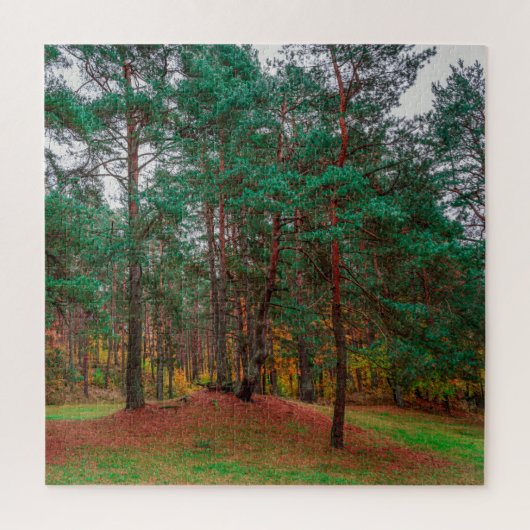 Puzzle Forêt d'automne (Vertical)