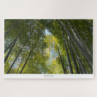 Puzzle Forêt de bambou d'Arashiyama - Symphonie de tiges
