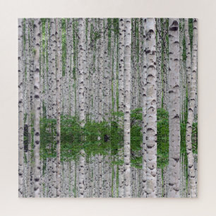 Puzzle Forêt de Birch Nature