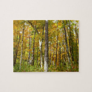 Puzzle Forêt de feuilles jaunes Paysage d'automne
