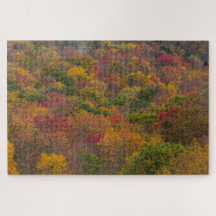 Puzzle Forêt de feuillus dans le comté de Randolph, Virgi