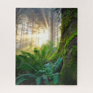Puzzle Forêt de la côte pacifique, Oregon