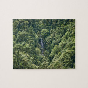 Puzzle Forêt de l'Himalaya dans la vallée de Mangdue, Bho