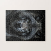 Puzzle Forêt de loups gris Animaux sauvages Nature Éteind (Horizontal)