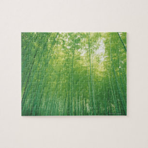 Puzzle Forêt en bambou 2