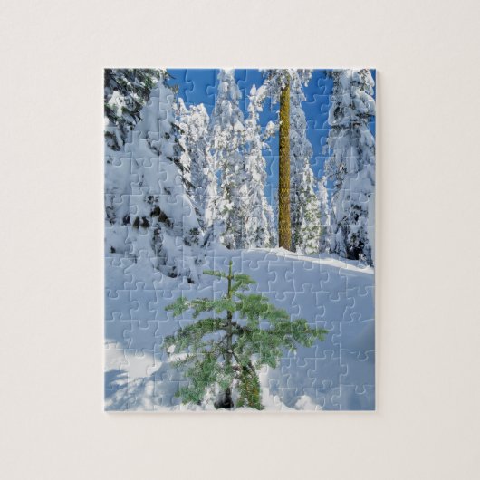 Puzzle Forêt enneigée en Oregon (Vertical)