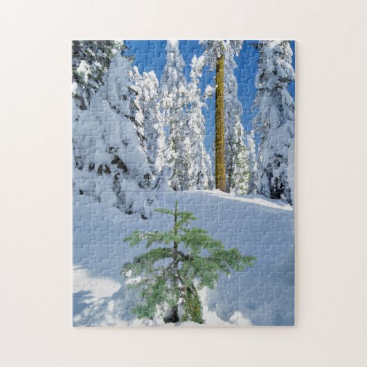 Puzzle Forêt enneigée en Oregon (Vertical)
