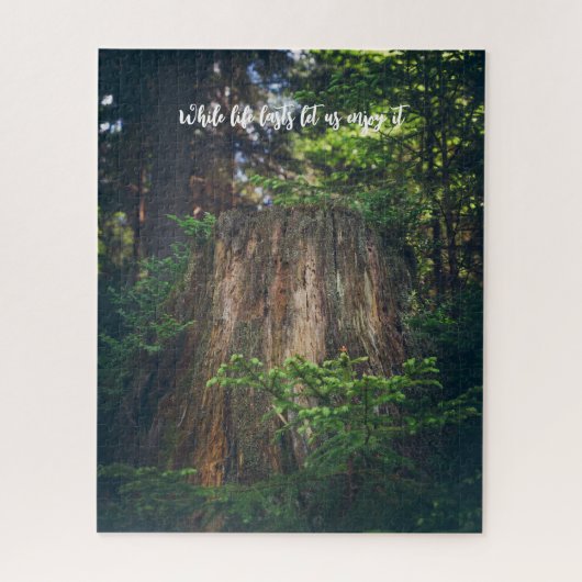 Puzzle Forêt estivale paisible (Vertical)