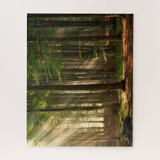 Puzzle Forêt | Forêt d'automne (Vertical)