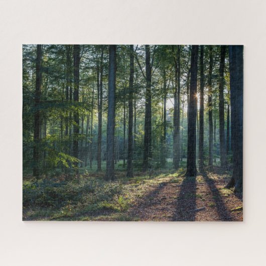 Puzzle Forêt | Forêt Noire Allemagne (Horizontal)