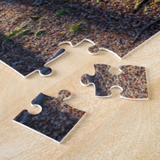 Puzzle Forêt | Forêt Noire Allemagne (Côté)